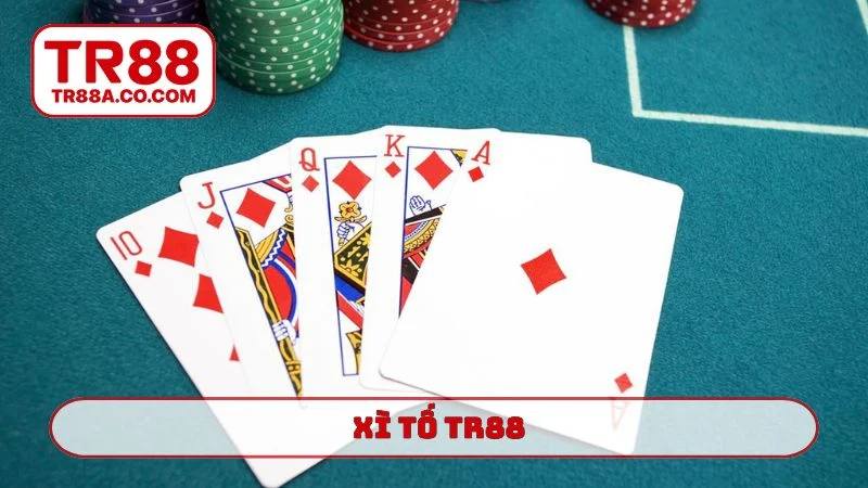 xì tố TR88